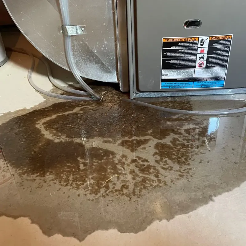 Pipe Burst and Leak Restoration in McCracken County, KY